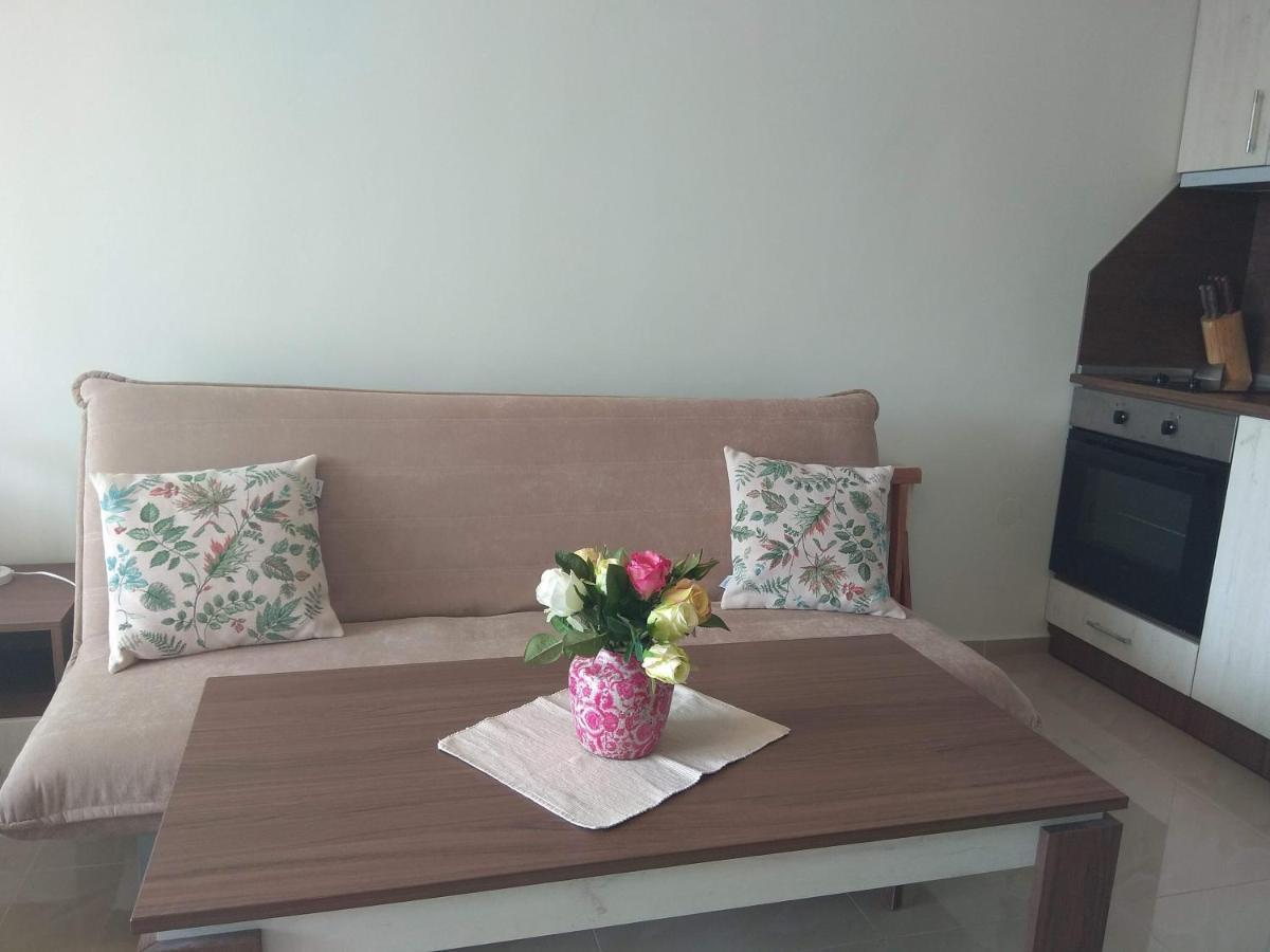 Gabi Apartment Primorsko Luaran gambar